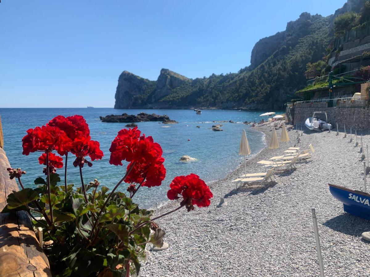 L'oblo Massa Lubrense