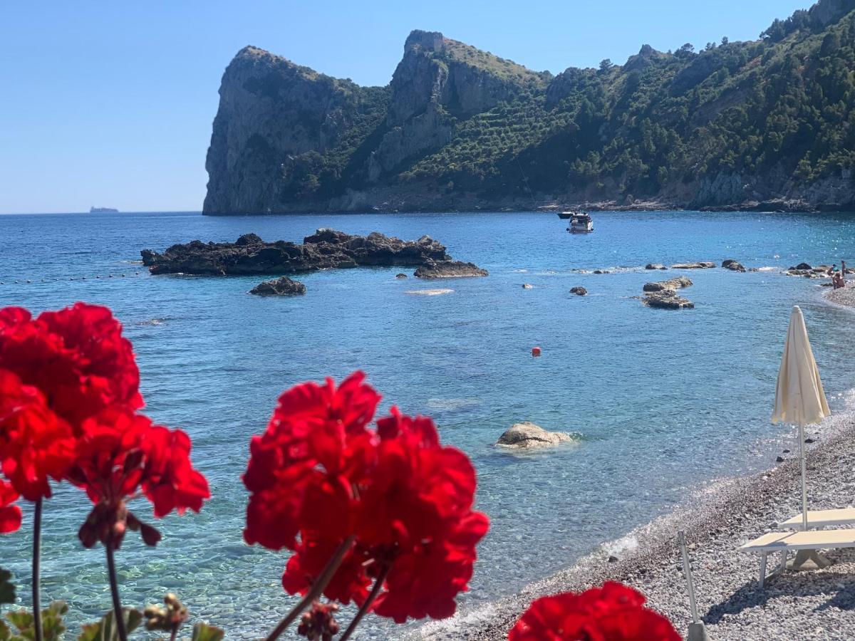 L'oblo Massa Lubrense